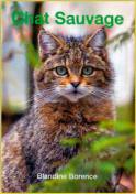 Chat sauvage (Blandine Borence)